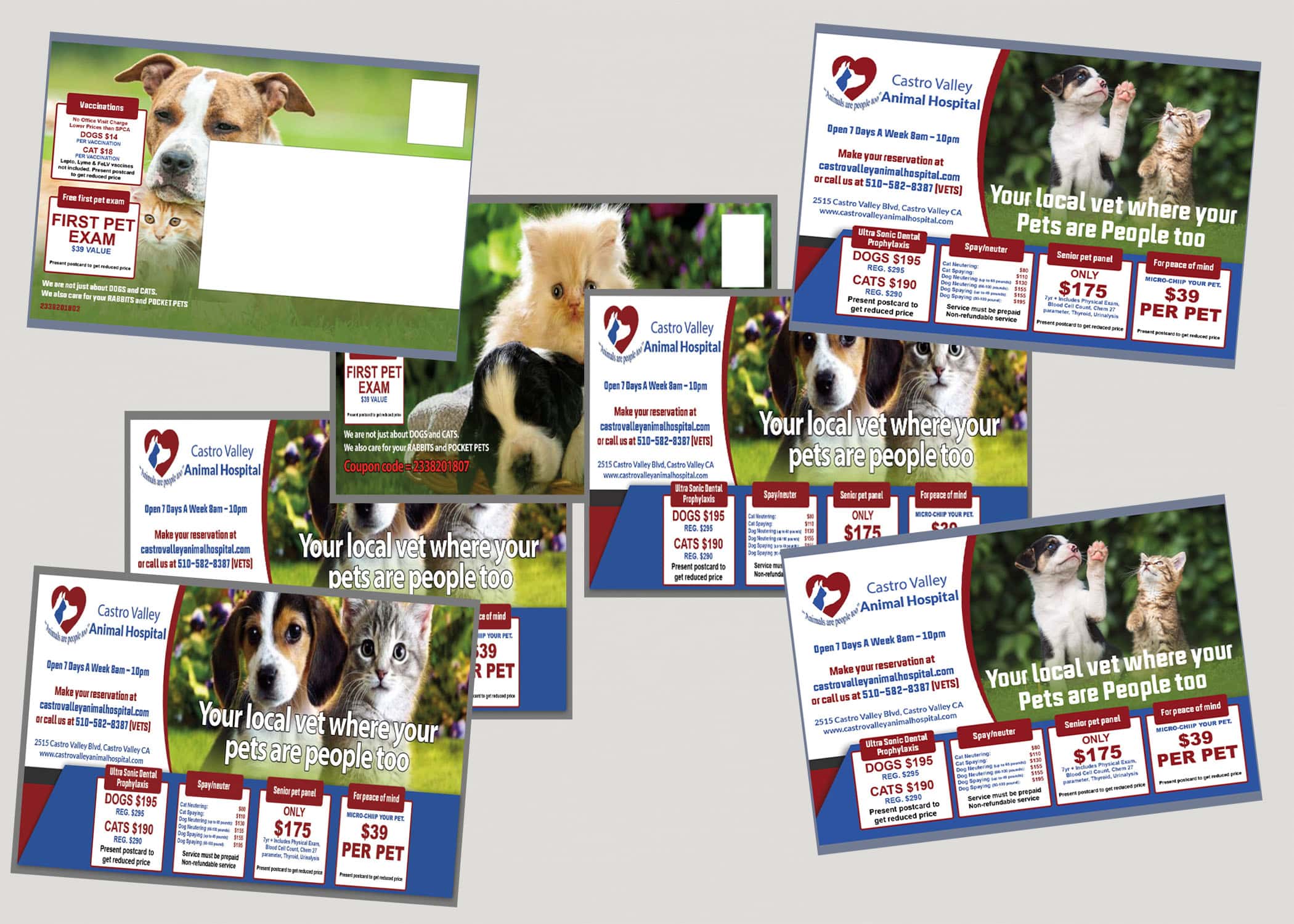 Castro Valley Animal Hospital reaches hyper targeted audience using Custom Designed Postcards